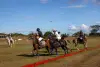 Singular-Panama-Polo-Open--45 copy